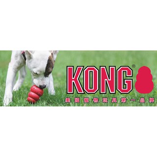 【美國 KONG】狗 益智玩具 舒壓玩具 寵物 玩具 橡膠玩具 葫蘆玩具 葫蘆 KONG玩具 KONG狗玩具