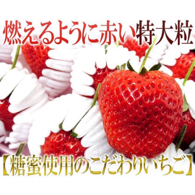 糖蜜日本熊本草莓免運喔黑盒18～25大顆
