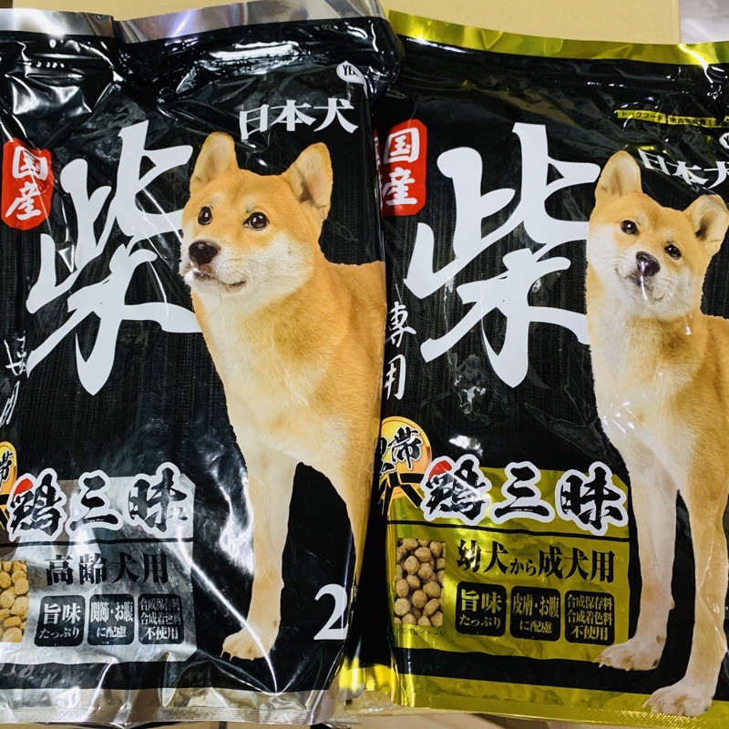 柴犬ptt Askorg