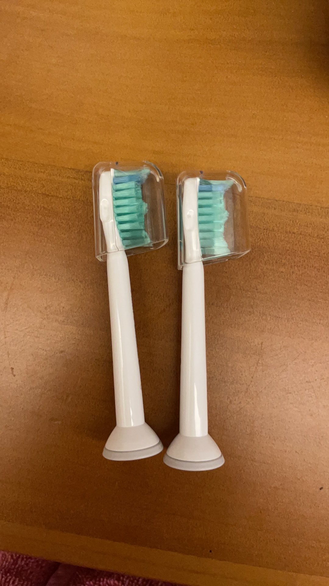 [問題] 飛利浦專業標準型刷頭