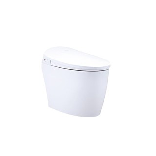 實體店 臺北/桃園/新竹/臺中-凱撒 CA1383 凱撒御洗數位馬桶 30公分