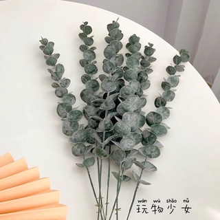玩物少女®️上粉模擬尤加利葉 拍攝道具 居家裝飾