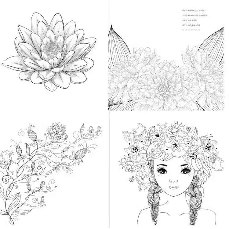 限時 99免運 現貨 舒壓著色本畫畫本塗鴉本韓國flower Garden涂色本花的庭院成人減壓花卉花朵涂鴉繪畫著 蝦皮購物