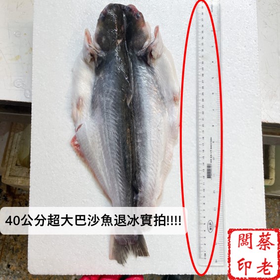【蔡老闆】巴沙魚蝴蝶切850g/滿1200運費折抵/肉質細嫩/Basa/魚排/鯰魚片
