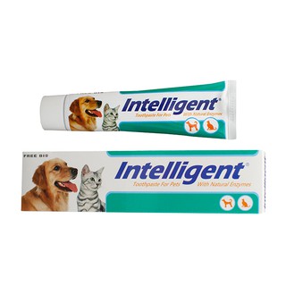 Intelligent 因特力淨 寵物酵素 牙膏 80g 寵物牙膏 貓 狗 牙齒清潔