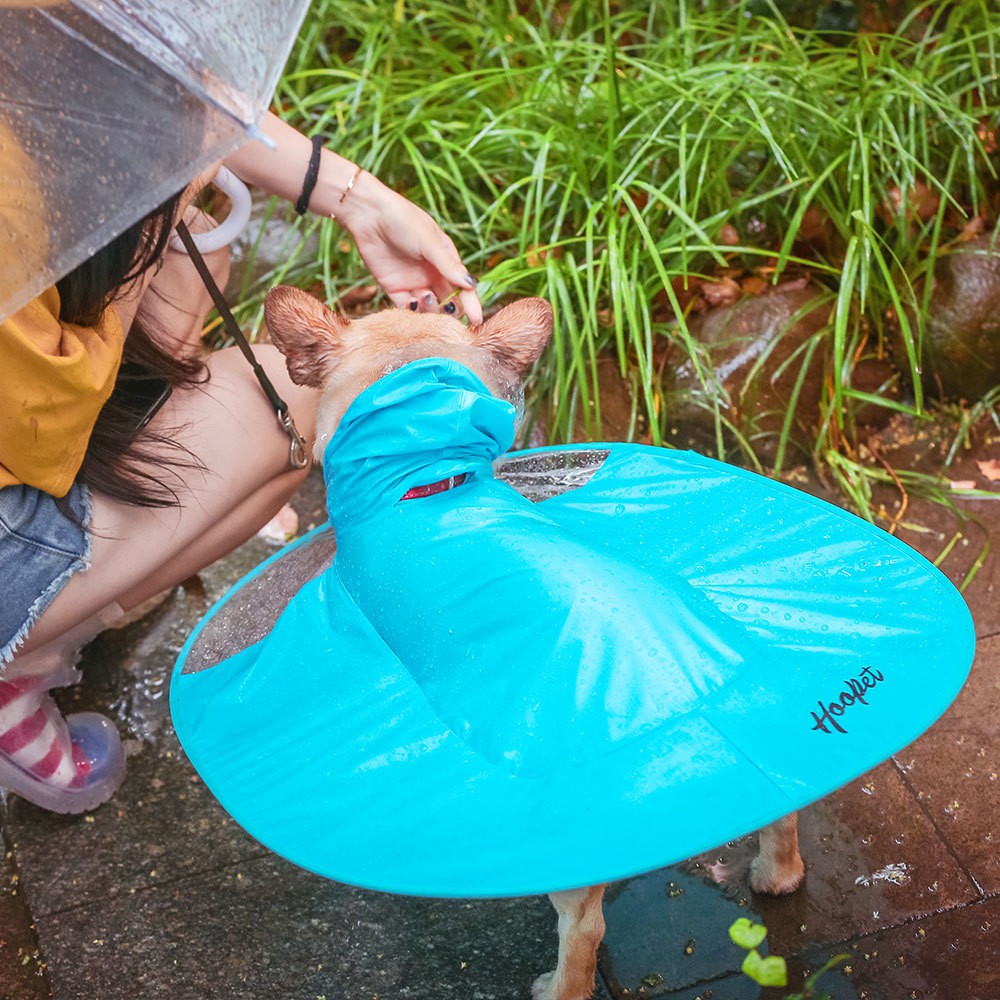 YJY】廠家直銷現貨新款寵物狗透明雨衣飛碟狗狗雨衣寵物雨衣狗衣服| 蝦皮購物