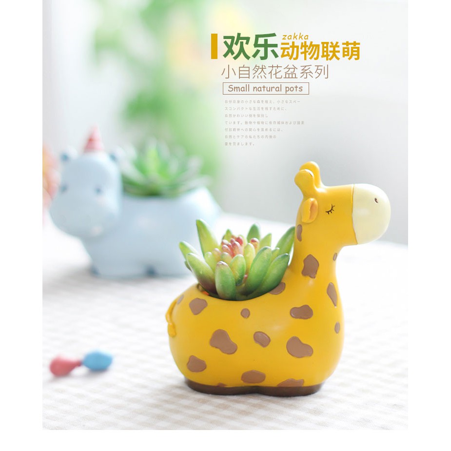 創意可愛動物多肉植物花盆長頸鹿河馬樹脂動物盆栽花盆仙人掌盆栽花器創意動物造景精緻盆器辦公室桌面盆栽 蝦皮購物