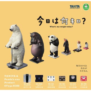 ❖貓大爺玩具❖現貨 熊貓之穴 站上TANITA體重計的動物們 扭蛋 體重計 胖胖動物 站在體重計動物 北極熊 浣熊 河馬