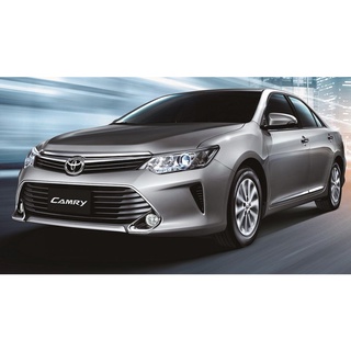 MS RACING 煞車皮 來令片 17豐田CHR 1.2, '19~CAMRY/RAV4