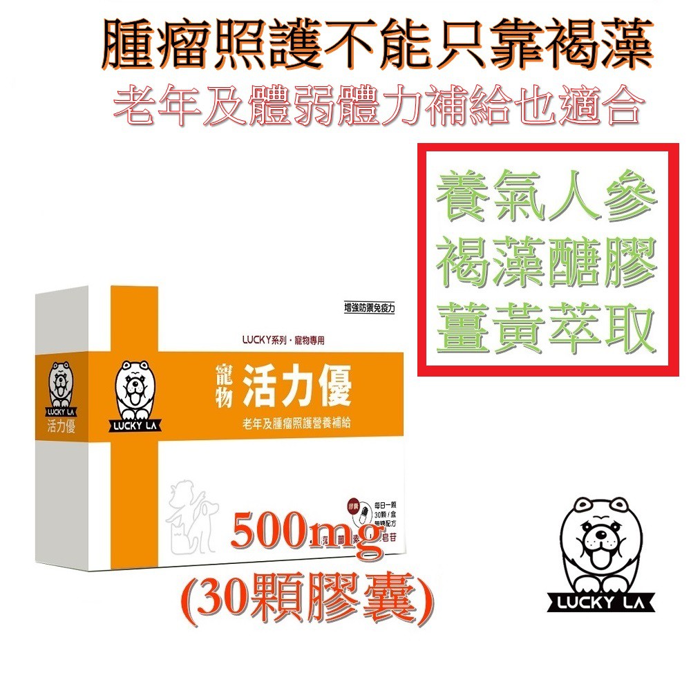 老狗照護 Ptt Dcard討論與高評價網拍商品 2021年11月 飛比價格