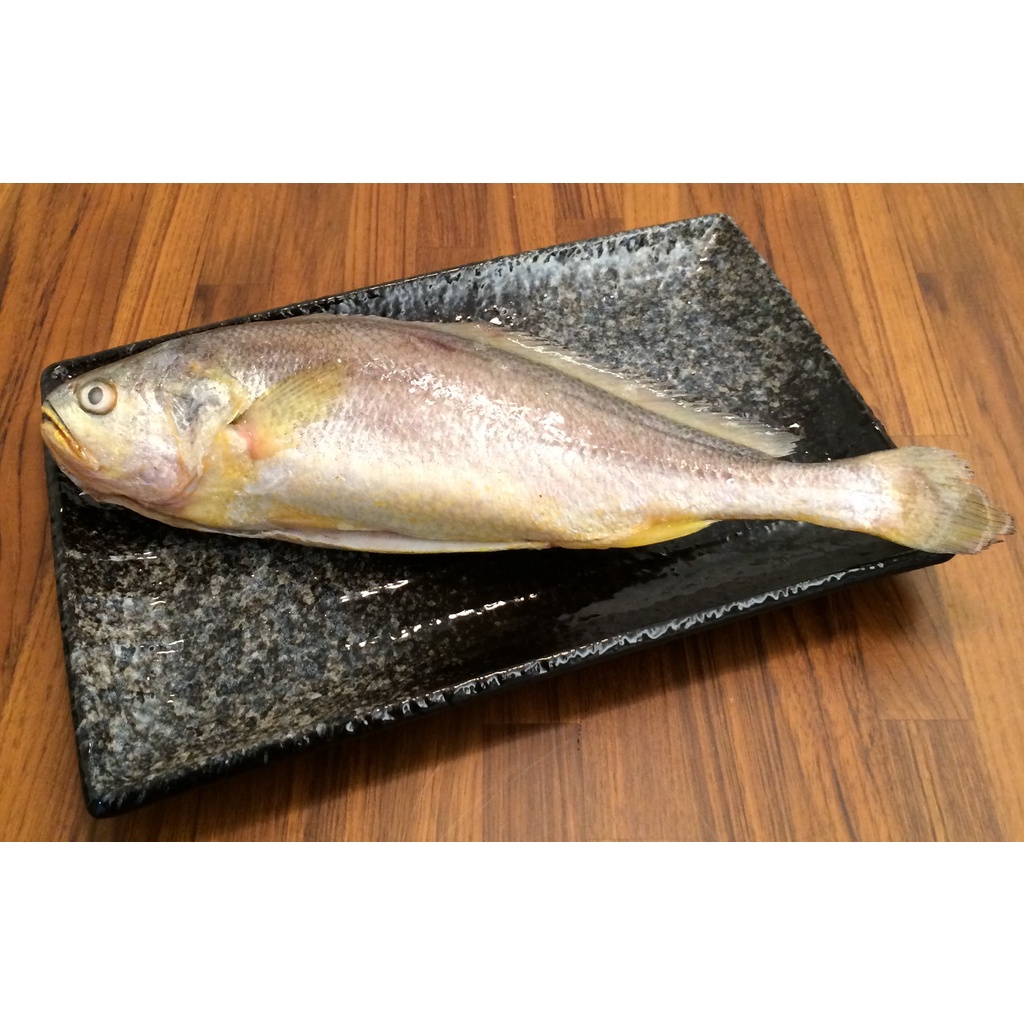 【新鱻貨】黃魚 500g~600g