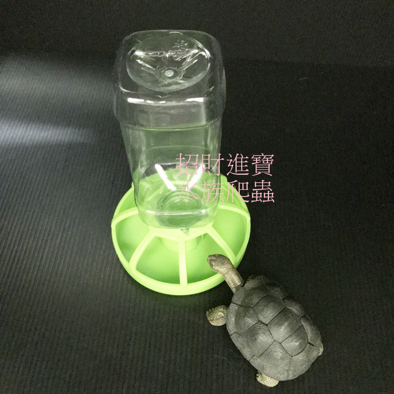 多款自動補水盆 陸龜 小動物 防踩踏 水盆 蜥蜴 守宮 烏龜 爬蟲  星龜象龜蘇卡達倉鼠昆蟲鳥 寵物餵水 飲水器 喝水碗