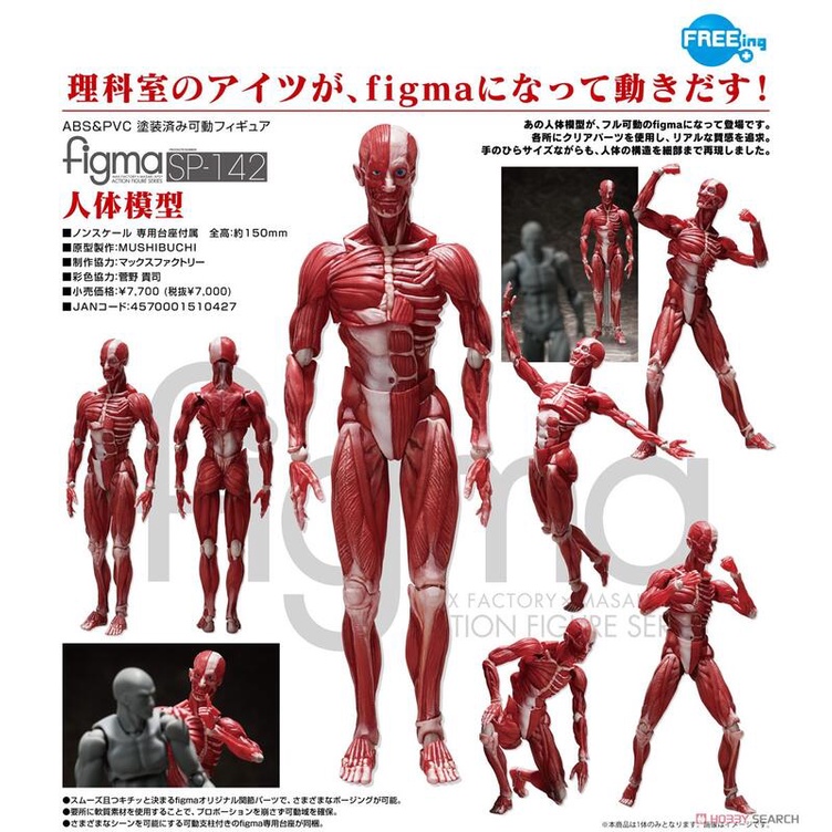 參號倉庫預購4 5月figma Sp 142 桌上美術館人體模型理科教室可動完成品9 26 超取免訂 蝦皮購物