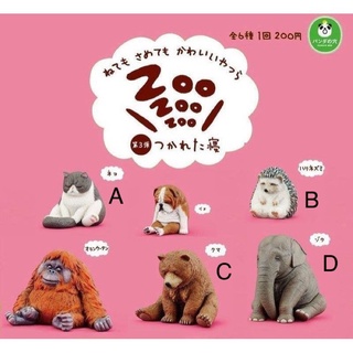 熊貓之穴｜Zoo 休眠動物園 P3扭蛋（灰貓/刺蝟/棕熊/大象）