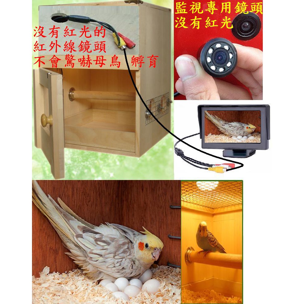 巢箱 門口 監視 鏡頭 套組 可隨插隨用 特製款 沒有紅光 紅外線 攝影鏡頭 孵育 孵化 寵物 紅外線夜視 監視器