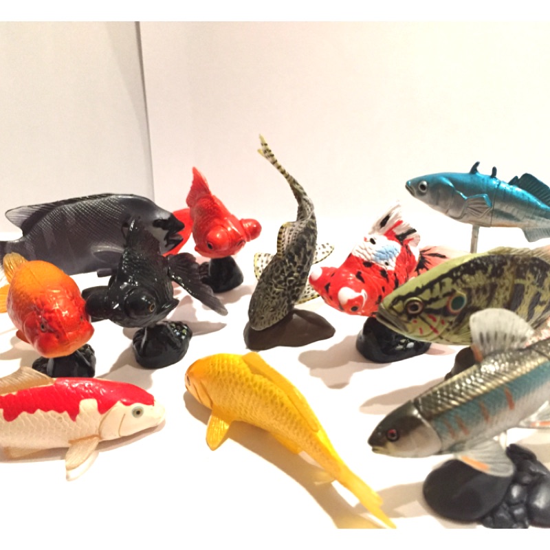 海洋堂巧克力蛋拼裝公仔金魚鯉魚水族館血鸚鵡觀賞魚淡水魚類轉蛋扭蛋擬真動物垃圾魚 蝦皮購物