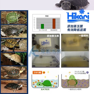 【AC草影】Hikari 高夠力 第三代 飼育教材 烏龜飼料（大顆粒/200g）【一包】水龜飼料 高夠力烏龜飼料