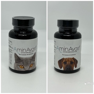 ストレッチドビー アミンアバスト 中・大型犬用規格（1,000mg）60