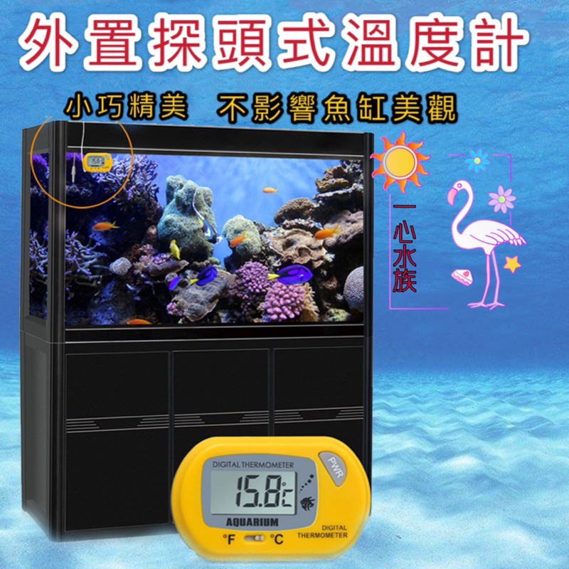 [[一心🇹🇼水族]]【魚缸電子溫度計】魚缸缸外型雙顯示溫度計 探針式 水溫計 加溫器 水草缸 海水缸  魚缸 溫度計