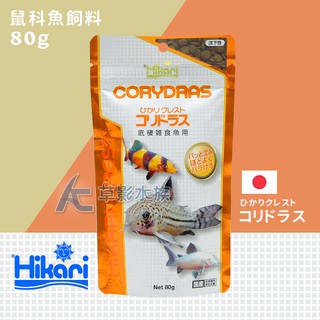 【AC草影】Hikari 高夠力 第三代 鼠魚專用營養飼料（80g/日版）【一包】底棲魚 底部魚
