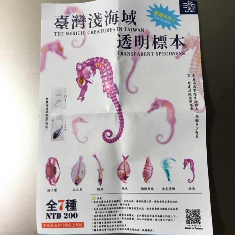 台灣淺海域透明標本 蝦皮購物