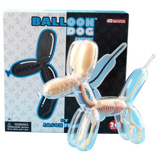 4D Master藝術家 Jason Freeny益智拼裝玩具透明大氣球狗迷你桃紅色氣球狗迷你藍色氣球狗透視骨骼解剖模型
