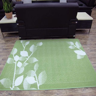 【范登伯格】 青田日本抗菌柔美地毯 綠 -80x150cm