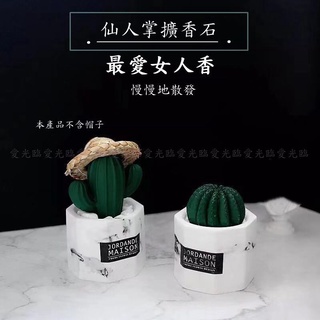 《臺灣現貨》擴香石 香薰 仙人掌盆栽擴香石 香氛石 仙人掌球擺件 模擬多肉盆栽 情人節禮物 抽捧花禮 伴娘禮 姊妹禮