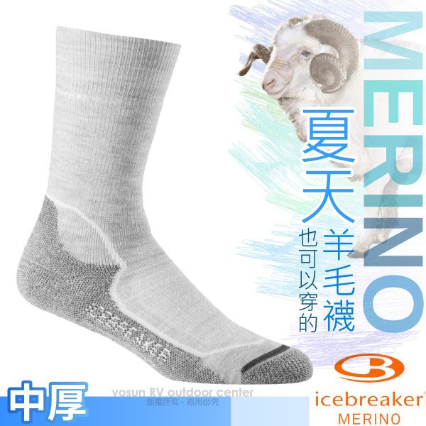 【紐西蘭 Icebreaker】女款美麗諾羊毛中筒避震登山健行襪(2入套組)排汗透氣小腿襪/灰白_IBND15