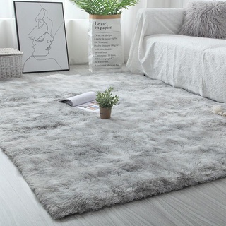 Winter Carpet Rugs Plush Carpets Living Room Bedroom Mats 毯