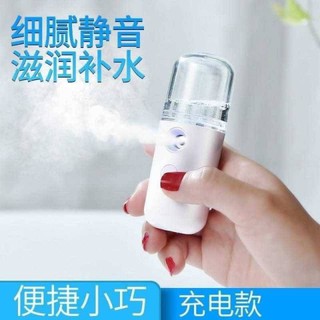◤臺灣現貨◢USB攜帶型迷你噴霧消毒器 補水保濕噴霧 迷你加濕器 迷你奈米霧化器可噴次氯酸水