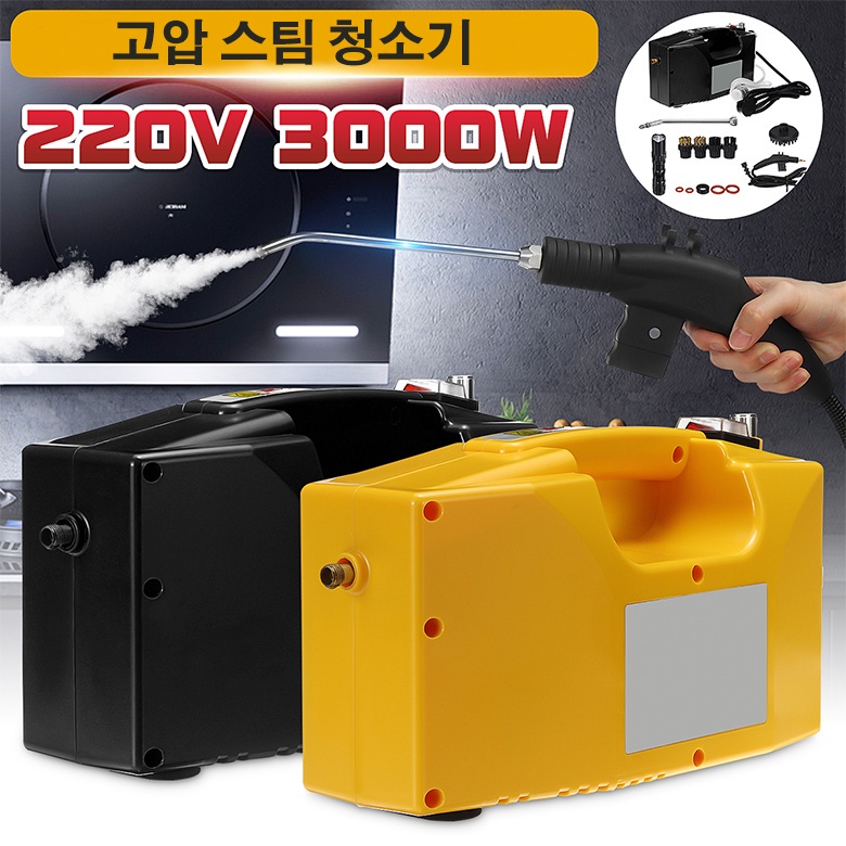 220v 3000W 專業蒸汽清潔器手持式蒸汽發生器家用廚房高壓清洗機