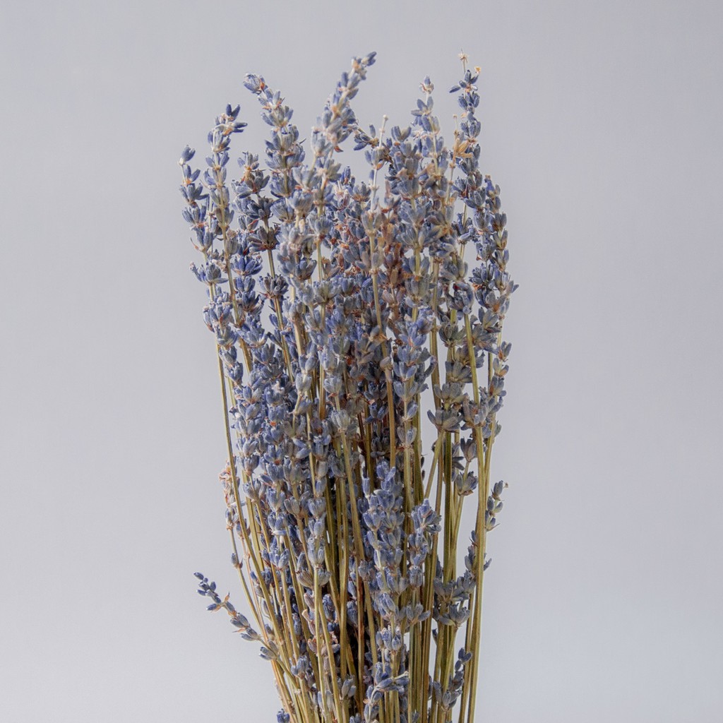 風格司 薰衣草乾燥花材居家佈置 裝飾 櫥窗 攝影道具 手作素材 手作花材 婚禮擺設 外拍 婚紗 香氛 乾燥花束 蝦皮購物