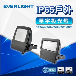 現貨免運｜優選照明｜億光 LED 星宇投光燈 15W 30W 50W 80W 120W 戶外防水投射燈 全電壓