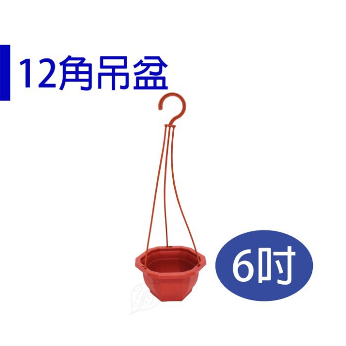 【醬米資材】特殊造型吊掛盆/6吋12角吊掛盆 有三色