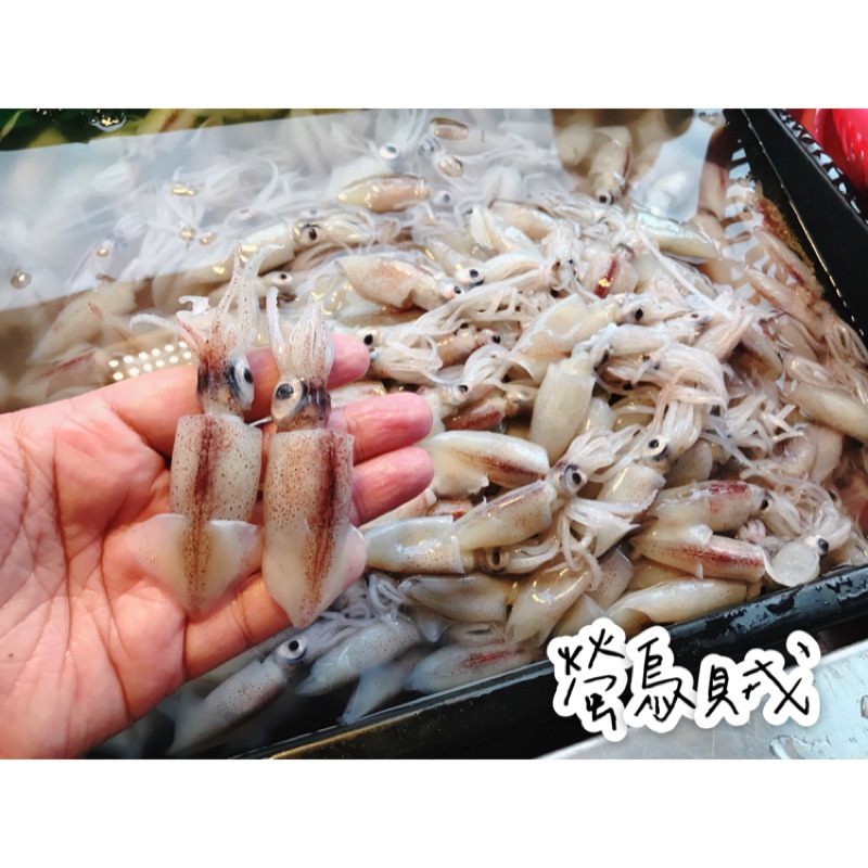 鱻味急凍生鮮訂購前請先用 聊聊 確認有無現貨螢烏賊瑩烏賊螢光烏賊一口卷銀烏賊大溪漁港現撈海鮮日本料理