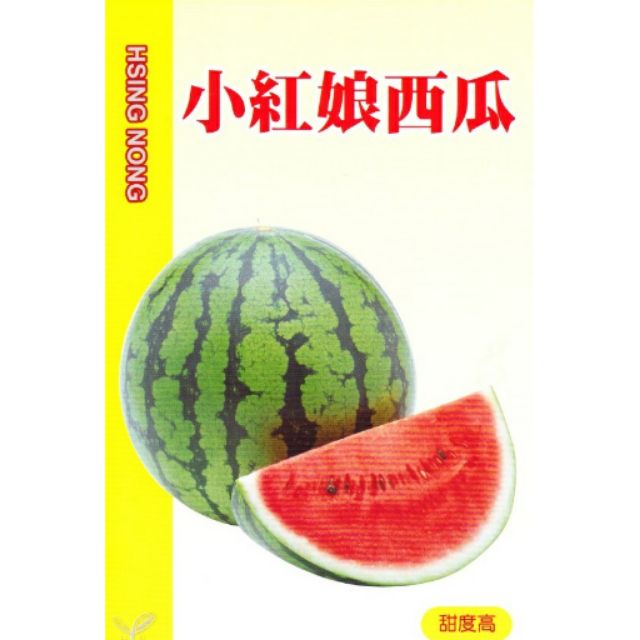 尋花趣 小紅娘西瓜【蔬果種子】興農牌 中包裝種子 約1公克/包
