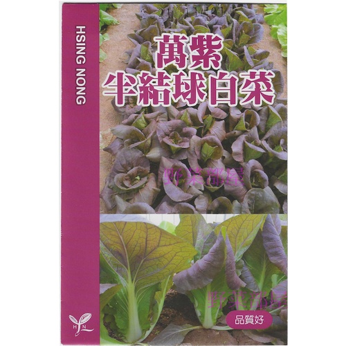 【野菜部屋】F17 萬紫半結球白菜種子1.7公克 , 紫色蚵仔白 , 生長快 , 葉面寬厚 , 每包16元 ~