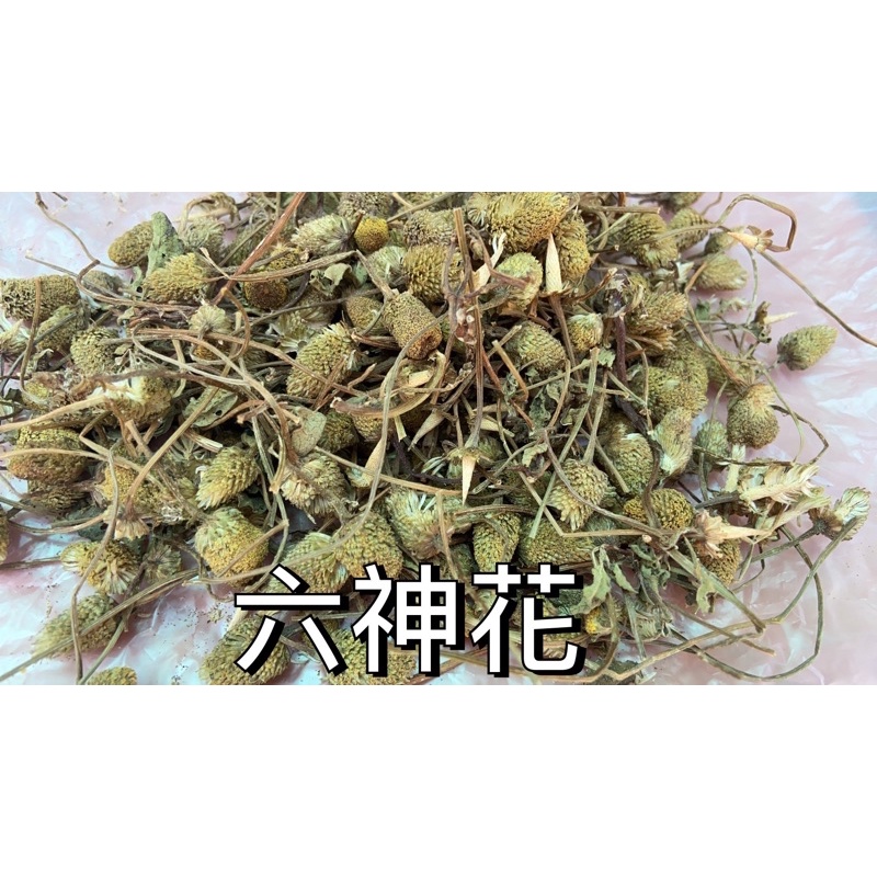 「大青藥草舖🌳」台灣本產 六神花/鐵拳頭/一點紅 乾貨100g