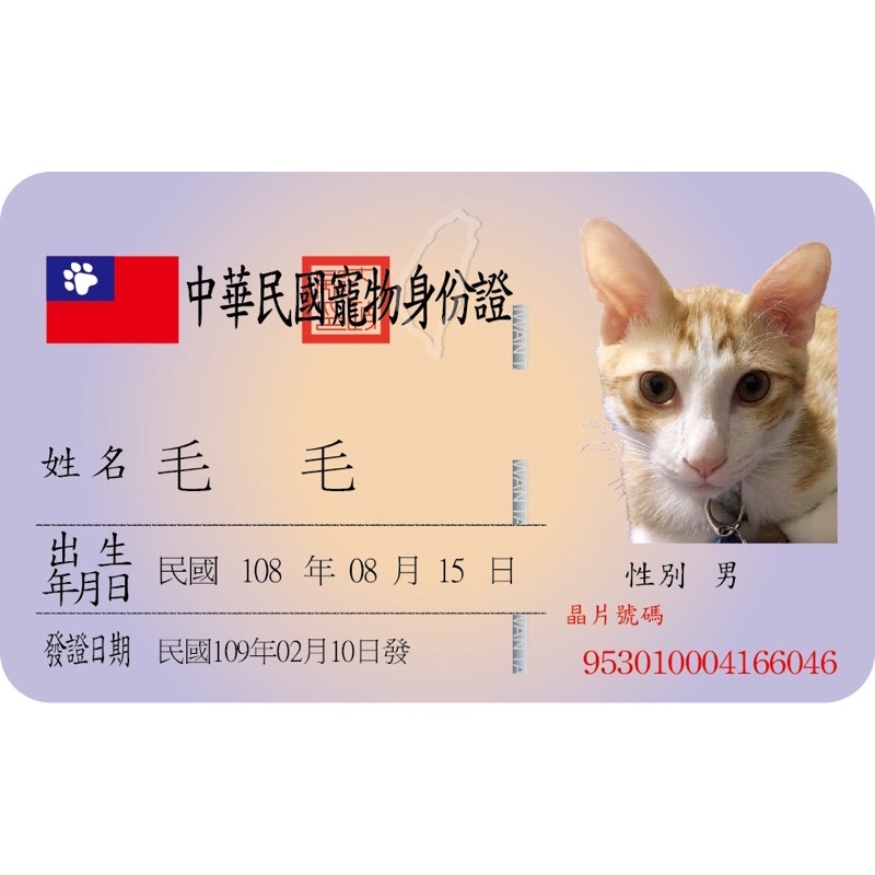 寵物證件（身分證、健保卡）