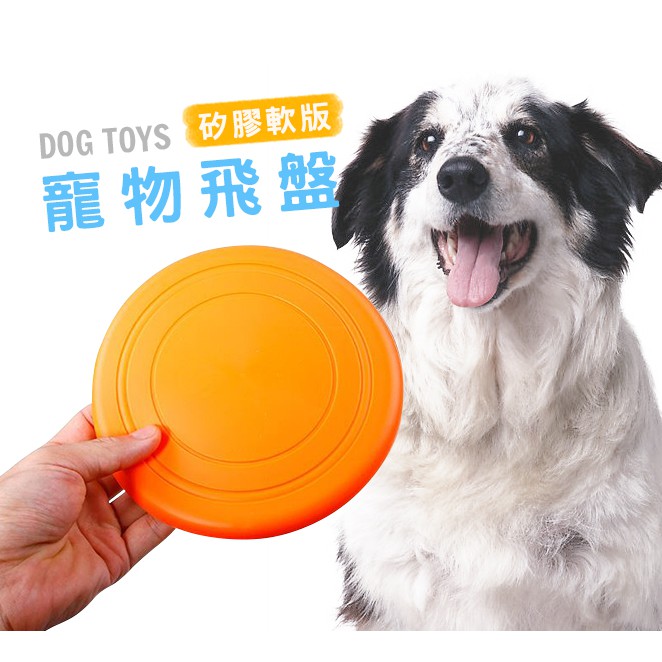 【汪喵派對】寵物飛盤 狗飛盤 塑膠 矽膠 軟式飛盤  寵物飛盤 塑膠飛盤 戶外休閒 訓練 寵物互動