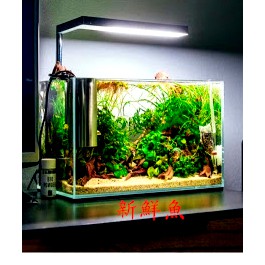 可自取~新鮮魚水族館~ONF Flat Nano 15W 迷你夾燈 水陸植物 培育燈 水草燈 玫瑰金 極簡銀 藍芽黑