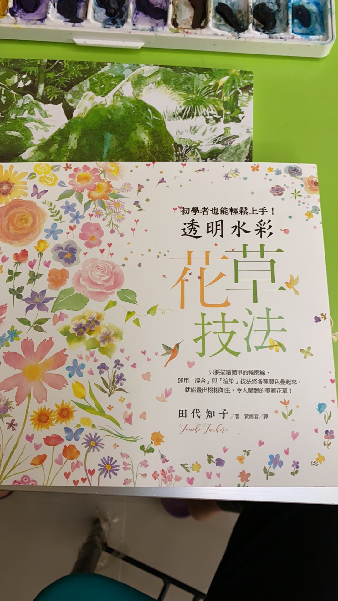 透明水彩花草技法 初學者也能輕鬆上手 蝦皮購物