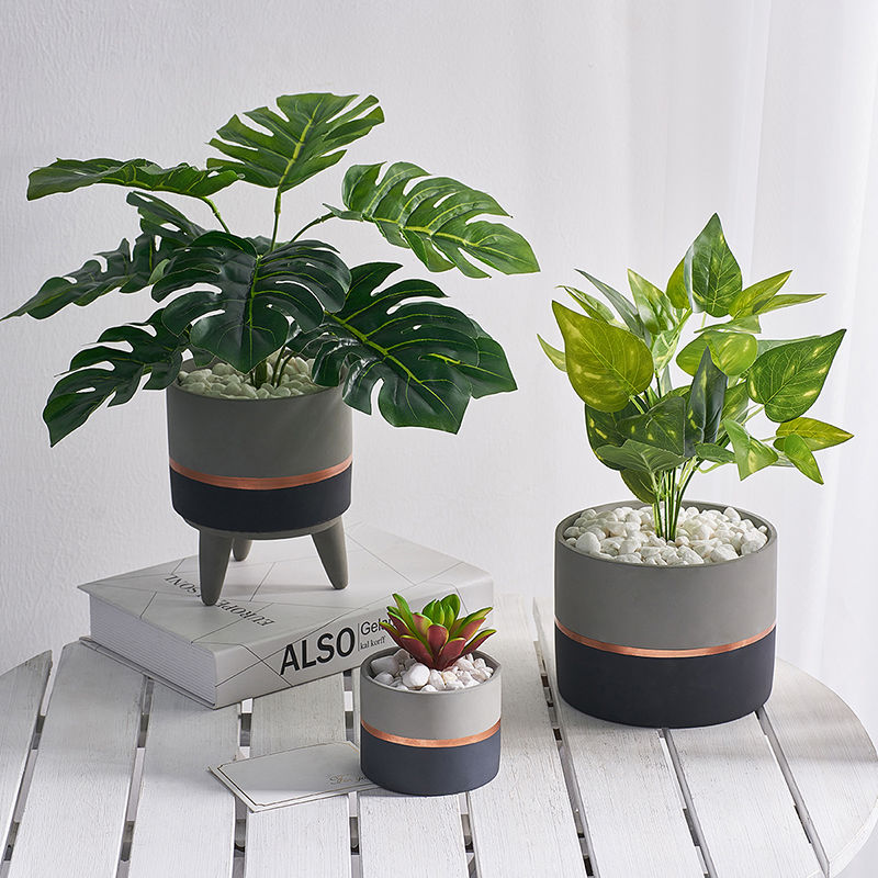 快速出貨 小新家居館北欧绿植仿真植物盆栽摆件创意假龟背叶多肉装饰摆设室内客厅窗台長方形花盆塑膠花器多肉植物懶人花盆