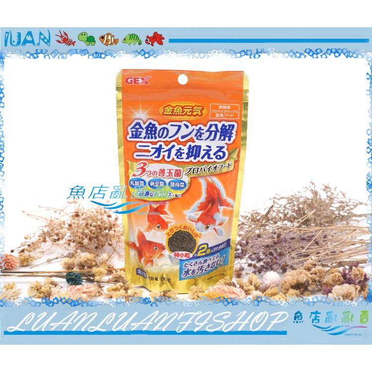 Gex 飼料 水族相關優惠推薦 寵物21年11月 蝦皮購物台灣