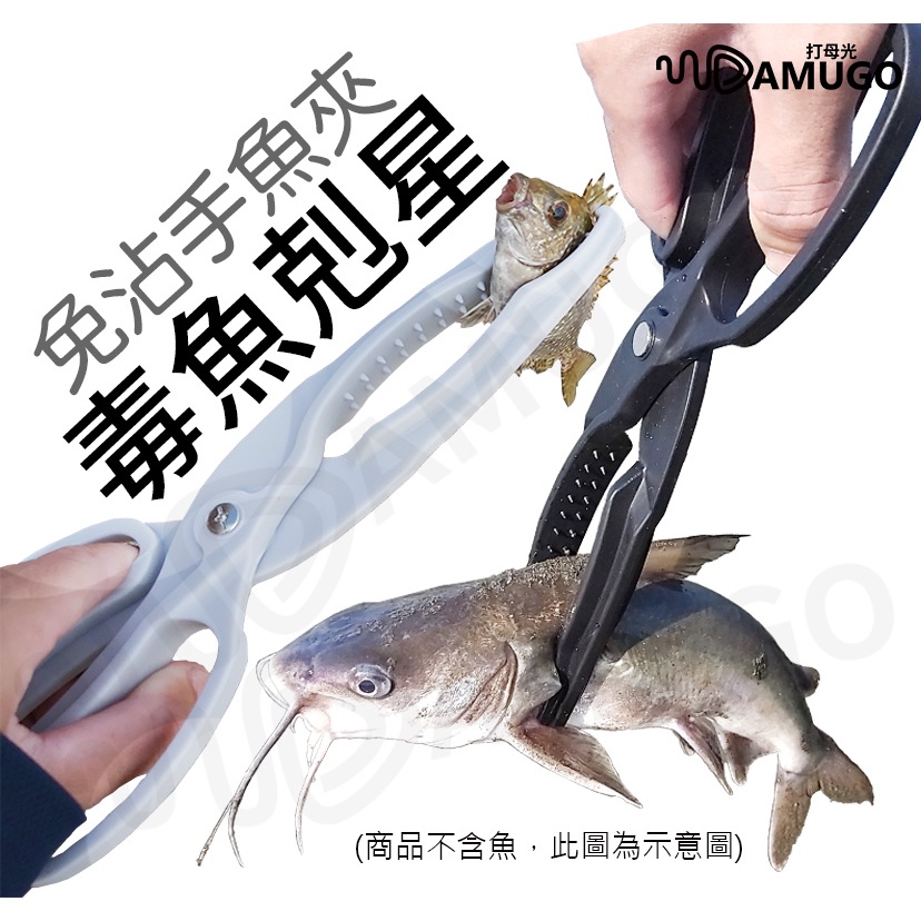 【台灣出貨】魚夾 夾魚器 塑膠魚夾 防滑魚夾 白帶魚夾