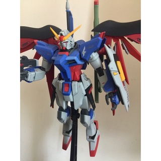 BANDAI MG 命運鋼彈 代工完成品