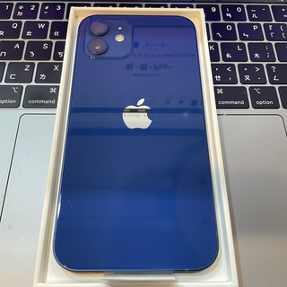Apple iPhone 12 (256G)-藍色