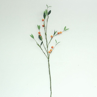 漿果枝枯枝仿真花秋實果插花客廳餐桌假花整體花藝擺設家居裝飾品 蝦皮購物