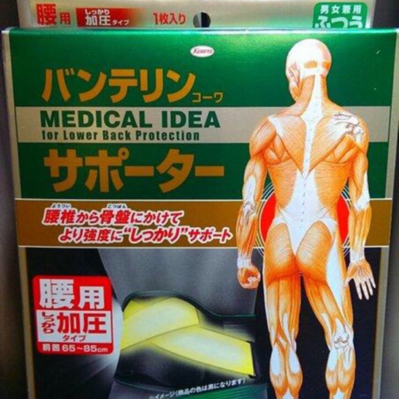 日本 KOWA 萬特力專業護具 腰部 護腰(加壓型/男女通用) 腰圍65~85cm